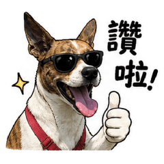 我是白酒