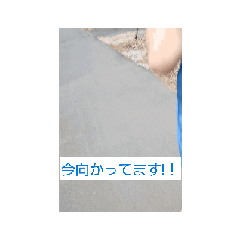 baya_20260516160515