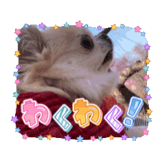 yume's  mama_20260516165342
