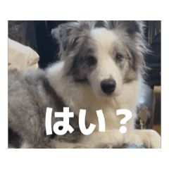 honami_20260516151013