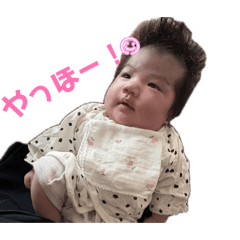 yoshi20260513