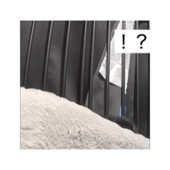 YYM_20260516180556
