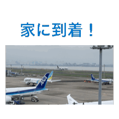 Hiraku_20260516194707