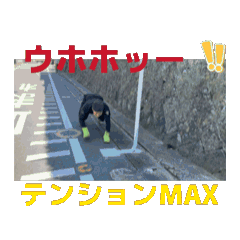 haruka_20260516215223