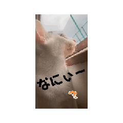 time_20260517065656