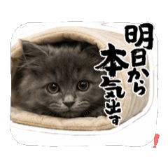 yuuuuuu_20260517012022