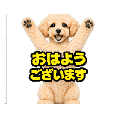 fujiyan8_20260517052703
