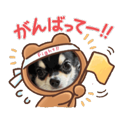 mugi_202605170957412