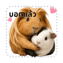 แกสบี้และผองเพื่อน
