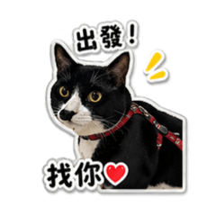 黑豆の日常