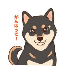 SMAEDA_20260513145812