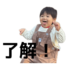 tiraservicehasegawa_20260513150541