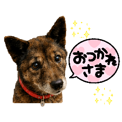 SAKI_20260513150442