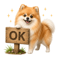 Useful all year! Pomeranian