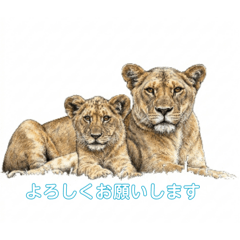 Lion Sticker ver.3