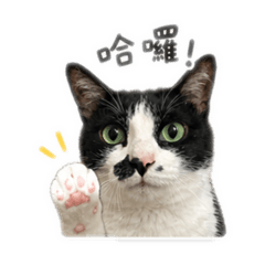 名字叫大花