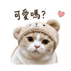 揉揉肉球