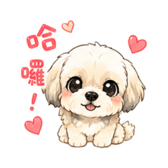 小老虎糖糖的日常生活