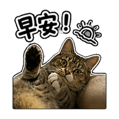 瑪妮.