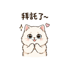 小貓（白）