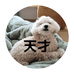 inuinu_20260513155645