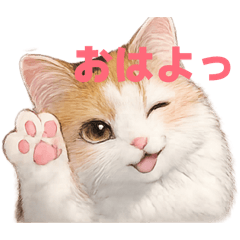 marimonosuke_20260509152403
