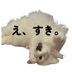 ururu/harere_20260513155529