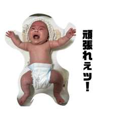 yfo_20260513160438
