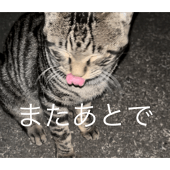 shinichi_20260513175210