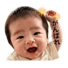 iROha.._20260513175556