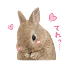 mo-ko-chan