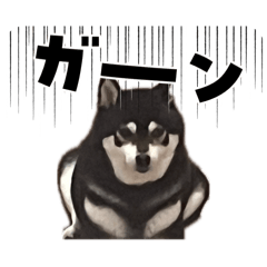 aki_20260513175752