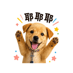 米克斯布丁小狗狗