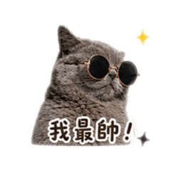 這是翡翠，賺罐罐錢（2）