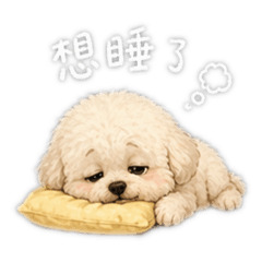 阿里斯