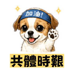 吉普賽之健管浮生錄