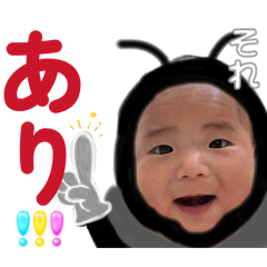 wakuwaku_20260513163404
