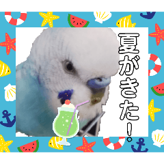 HAPPY BIRD LIFE_20260513162230