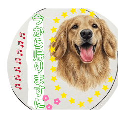 minori_20260513183120
