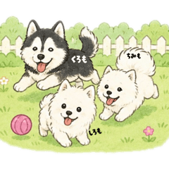 megupisu_20260513183114