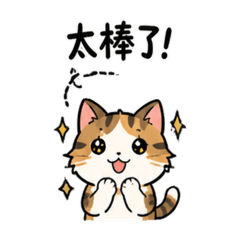梨花貓