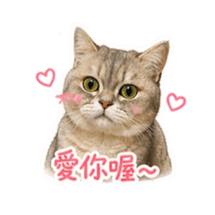樂樂寶貝女兒