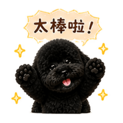 Wendy_20260501191952