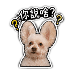 陳尼尼の日常