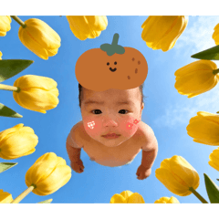 I 派派星