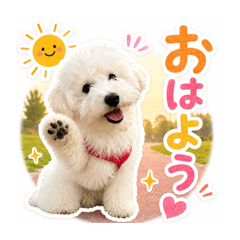 Shiro-_20260513171919