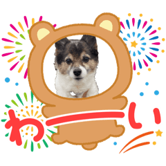 Ken_20260513191055