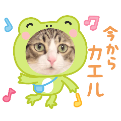 KOTETU_20260513191226