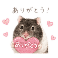 katomi_20260513190119