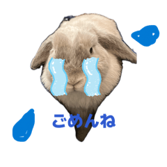 KAEDE_20260513192148